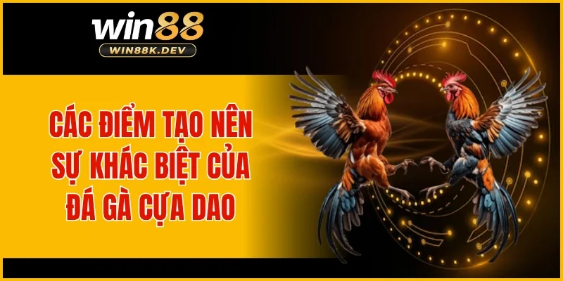 Các điểm tạo nên sự khác biệt của đá gà cựa dao