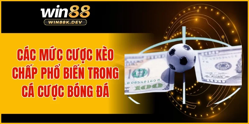 Các mức cược kèo chấp phổ biến trong cá cược bóng đá