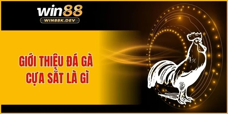 Giới thiệu đá gà cựa sắt là gì