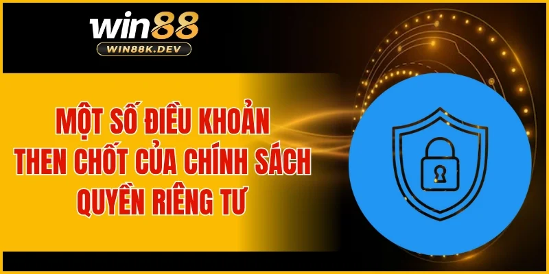 Một số điều khoản then chốt của chính sách quyền riêng tư