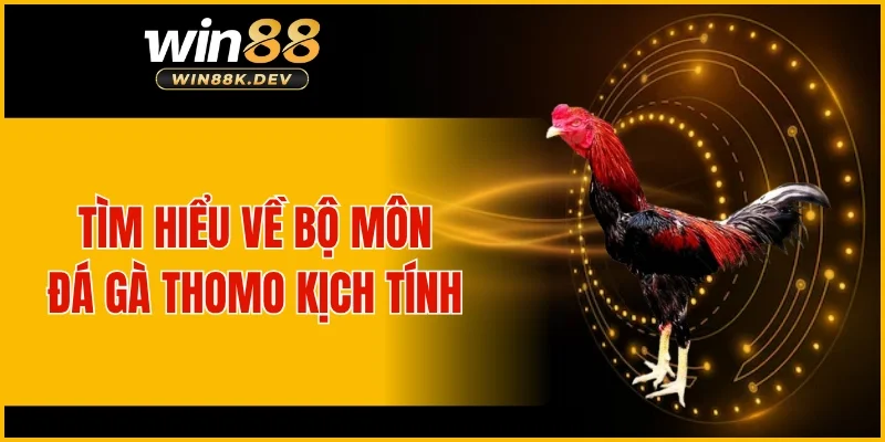 Tìm hiểu về bộ môn đá gà Thomo kịch tính