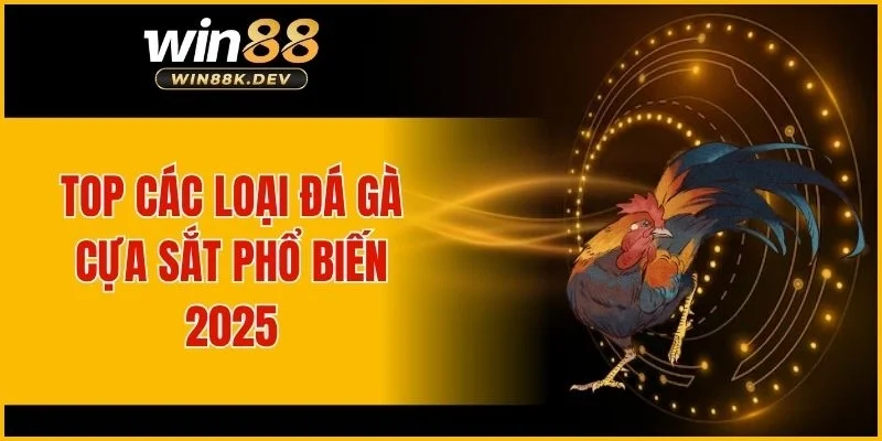 Top các loại đá gà cựa sắt phổ biến 2025